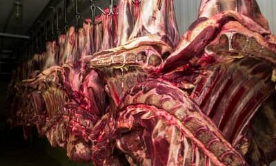 Restrição da China à carne bovina pode causar impacto de US$ 3 bilhões ao Brasil