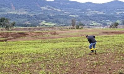 Seguro Rural fecha 2025 com 3,2 milhões de hectares segurados, pior desempenho em 10 anos