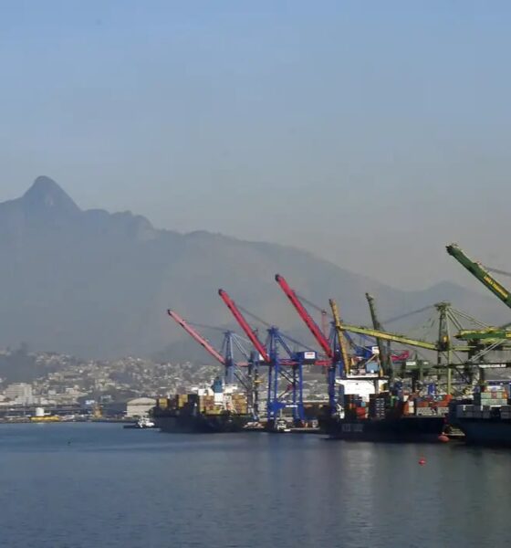 Brasil embarca primeira carga de grãos secos de destilaria para China após abertura comercial