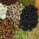 Exportações de pulses do Brasil sobem 30% em 2025, com destaque para o feijão
