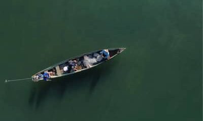 Mais de 76 mil pescadores tiveram licenças canceladas após decisão do MPA