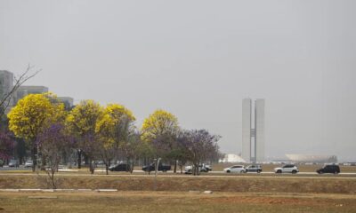 Preço da gasolina e diesel em Brasília (DF): veja os valores médios