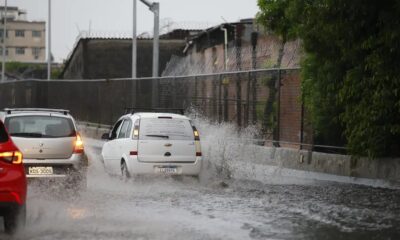 Preço da gasolina e diesel no Recife (PE): veja os valores médios