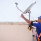 Setor de Telecomunicações no Brasil atraiu US$ 7,44 bi em investimentos externos em 2025