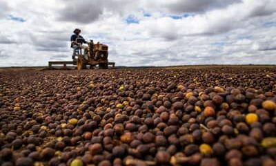 Câmara aprova análise acelerada para novas regras do Seguro Rural no Brasil