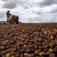 Câmara aprova análise acelerada para novas regras do Seguro Rural no Brasil