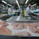 Conflito no Oriente Médio deve encarecer carnes de frango, suína e ovos