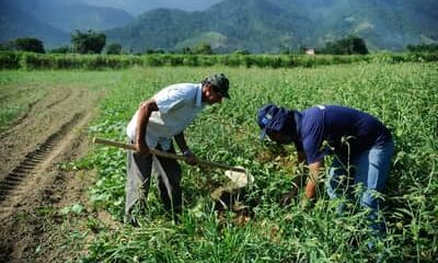 Mercado rural é responsável por três a cada dez vagas formais no país em janeiro, segundo CNM