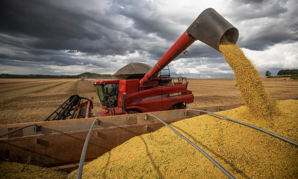 PIB cresce 2,3% em 2025 e alcança os R$ 12,7 trilhões, impulsionado por safras recordes de milho e soja
