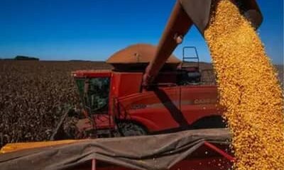 PIB da agropecuária avança 11,7% e contribui para fortalecimento da economia em 2025