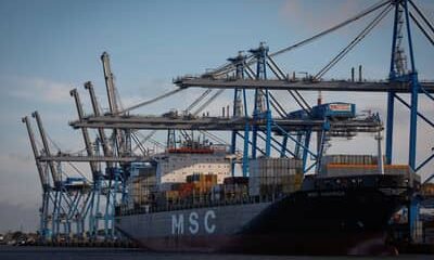 Chegam à China primeiras remessas brasileiras de DDGS