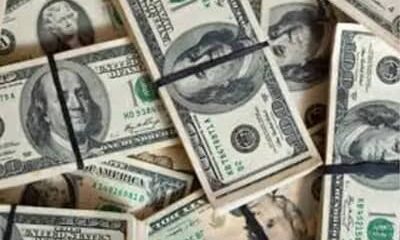 Dólar fecha último pregão em baixa, cotado a R$ 4,98