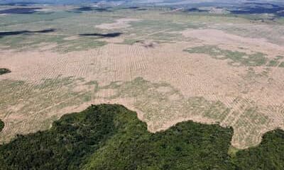 FPA pede adiamento das novas regras ambientais de financiamento no campo