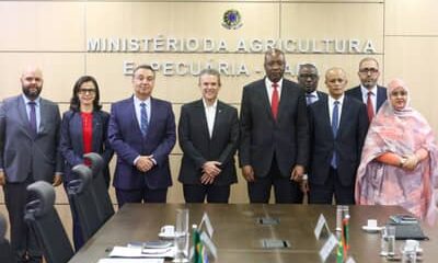 Ministério da Agricultura discute parceria em genética bovina e negocia abertura de mercado com a Mauritânia