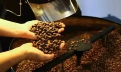 Café hoje: confira cotações para esta quinta-feira (14)