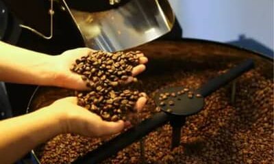 Café hoje: confira cotações para esta terça-feira (12)