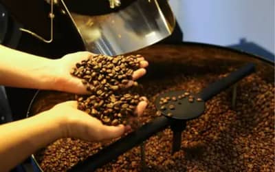 Café hoje: confira cotações para esta terça-feira (12)