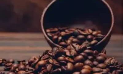 Café hoje: confira cotações para esta terça-feira (5)