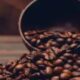 Café hoje: confira cotações para esta terça-feira (5)