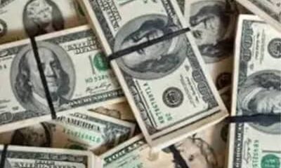 Dólar registra alta no último pregão, cotado a R$ 4,96