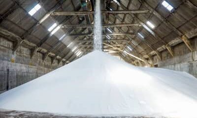 Fábrica de fertilizantes da Bahia é reativada e deve atender 5% da demanda nacional