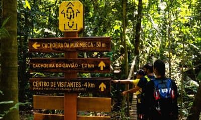 Turismo de natureza: estudo aponta retorno de R$ 15,60 para cada real investido em unidades de conservação