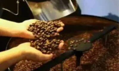Café hoje: confira cotações para esta sexta-feira (12)