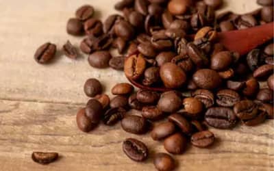 Café hoje: confira cotações para esta sexta-feira (26)