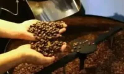 Café hoje: confira cotações para esta terça-feira (16)