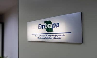 Embrapa inaugura escritório em São Paulo (SP) e firma parceria com Grupo Carrefour Brasil