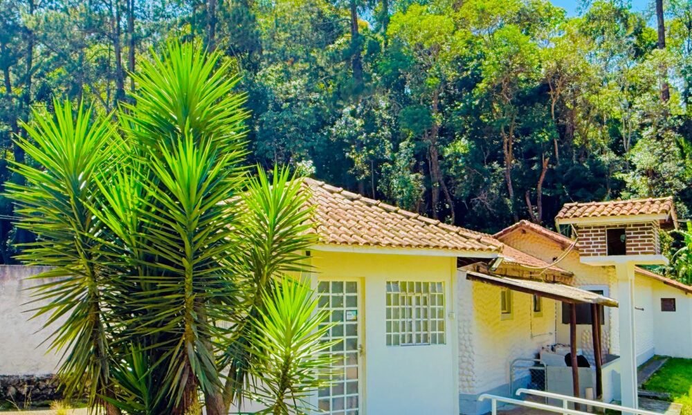 A Crescente Busca por Tratamentos para Dependência Química com Apoio de Convênios Médicos