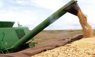 Agronegócio responde por 45,7% das exportações brasileiras e cresce 14% em junho