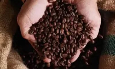 Café hoje: confira cotações para esta sexta-feira (31)