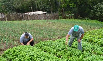 Desenrola Rural no Banco da Amazônia: agricultores familiares podem renegociar dívidas com descontos de até 80%