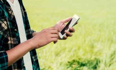 Expansão do 4G no campo: Piauí soma mais de 50 localidades conectadas