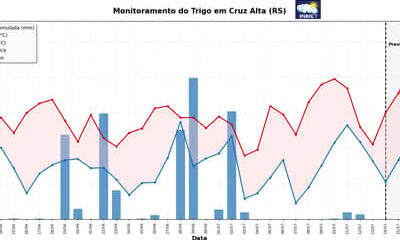 INMET emite alerta fitossanitário para lavouras de trigo no Sul após aumento das chuvas