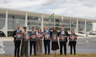 Sociedade civil pede que Lula sancione PL que põe fim à alimentação forçada de animais