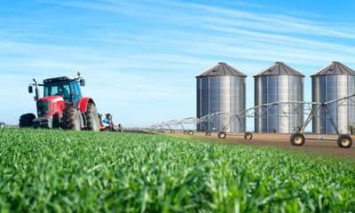 ACSP fortalece aproximação de pequenos negócios das oportunidades geradas pelo agronegócio