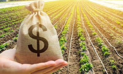 Agro inicia safra 2026/27 com R$ 580,78 bilhões em CPRs