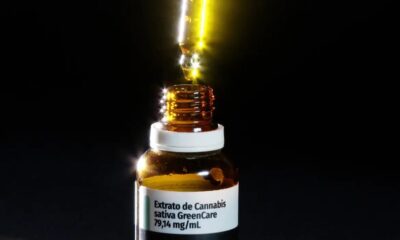 Autorizações para importação de cannabis medicinal aumentam 29% em 2026