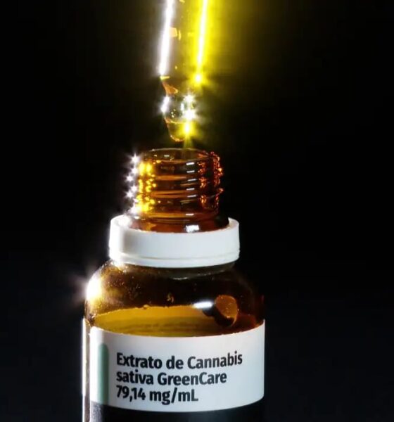 Autorizações para importação de cannabis medicinal aumentam 29% em 2026