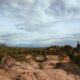 Brasil apresenta na COP17 ações de combate à desertificação e recuperação de áreas degradadas