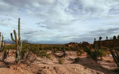 Brasil apresenta na COP17 ações de combate à desertificação e recuperação de áreas degradadas