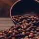 Café hoje: confira as cotações para esta sexta-feira (7)