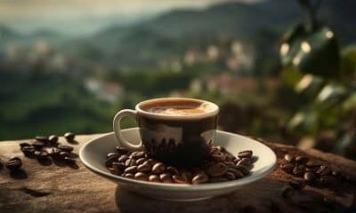 Concurso vai selecionar melhores cafés canéforas especiais do Brasil