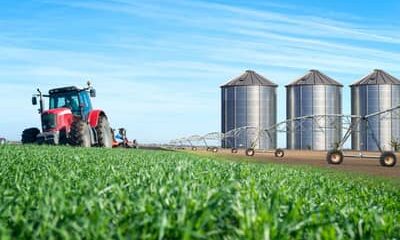 Exportações do agronegócio movimentam US$ 16,34 bilhões em 1.476 municípios