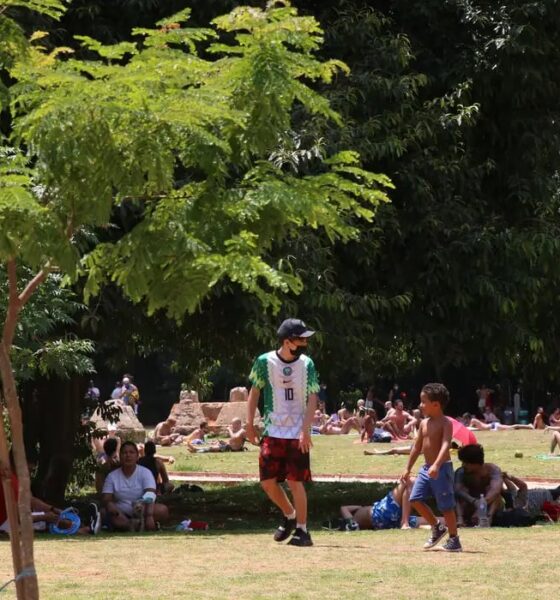 Microempreendedores do turismo de SP, inscritos no CadÚnico, têm acesso a linha de crédito de até R$ 21 mil