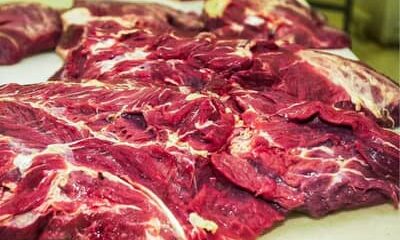 Goiás tem prejuízo de US$ 16,8 milhões por mês com restrição da UE à carne brasileira