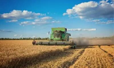 PAM 2025: produção agrícola dos municípios bate recorde de R$ 927,2 bilhões; confira ranking das cidades