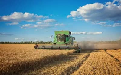 PAM 2025: produção agrícola dos municípios bate recorde de R$ 927,2 bilhões; confira ranking das cidades